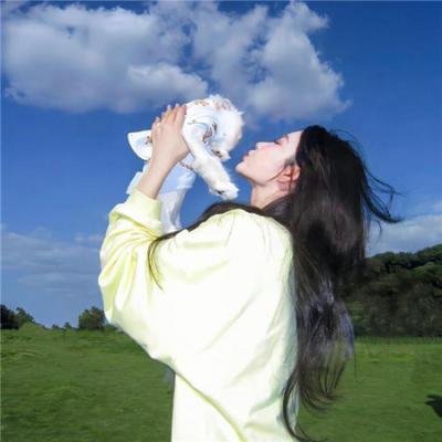 总裁不在人间在包间